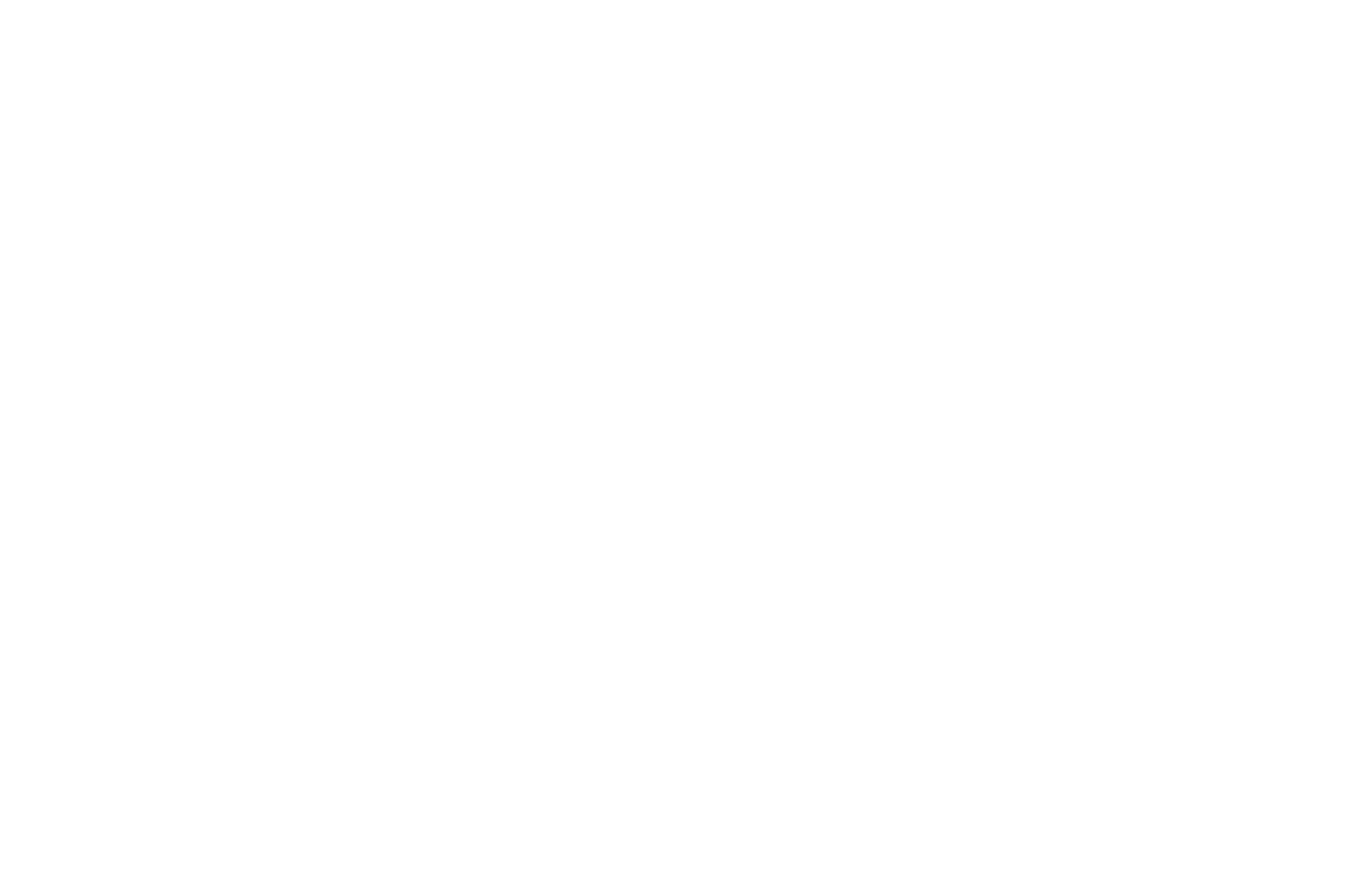 Perdido Vineyards Logo White
